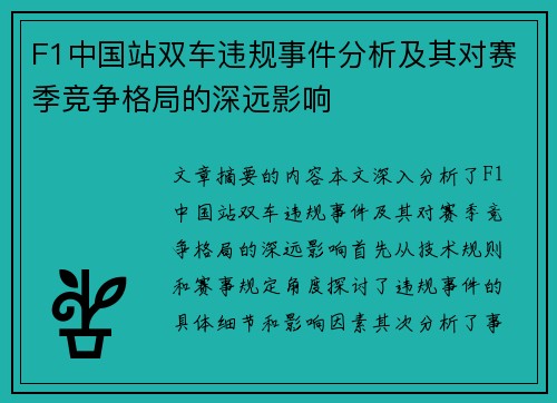 F1中国站双车违规事件分析及其对赛季竞争格局的深远影响