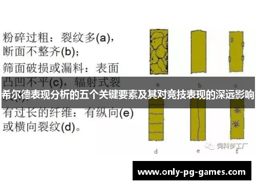 希尔德表现分析的五个关键要素及其对竞技表现的深远影响
