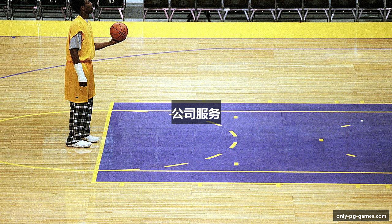 公司服务
